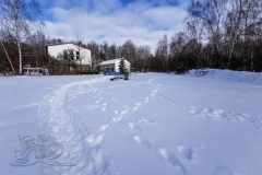 IMG_20210213_140252x