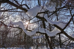 IMG_20210213_144314x