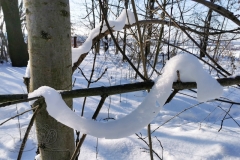 IMG_20210213_144409x