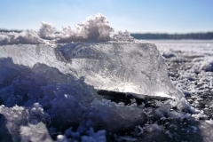 IMG_20210214_125542x
