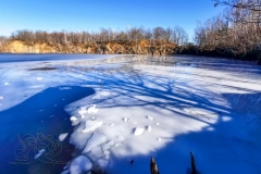 IMG_20210221_124624x