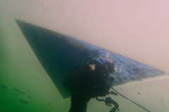 P2210029x