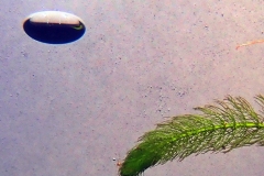 P2210054x