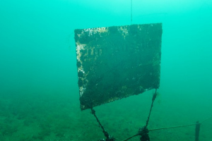 210225 Cospudener See