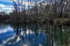 IMG_20210306_130734x