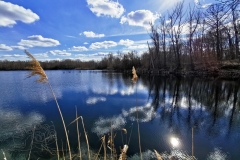 IMG_20210306_130754x