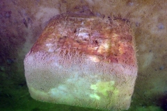 P3060025x