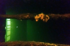 P3060083x
