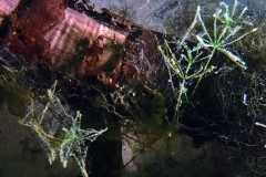 P3060114x
