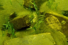 P3060122x