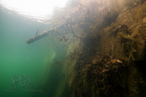 210313 Haselberg