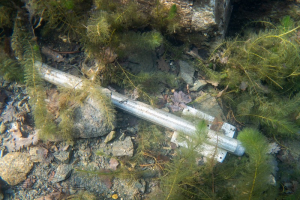 210324 Gewässererkundung