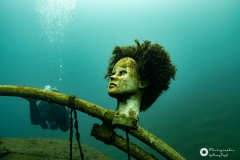 Ronny_DSC3781