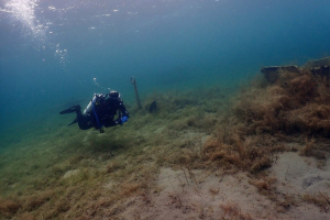210403 Kulkwitzer See