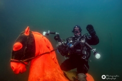 Ronny_DSC3806