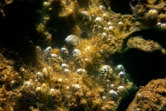 DSC09719x