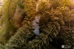 Ronny_DSC4015