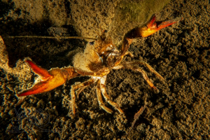 210514 Gewässererkundung