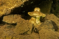 1_DSC00026x