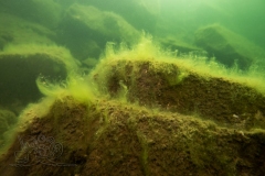 1_DSC00027x