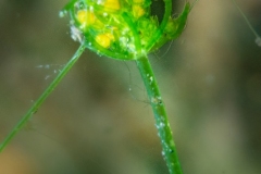 1_DSC00033x
