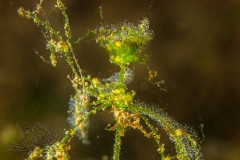 1_DSC00038x
