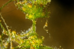 1_DSC00039x
