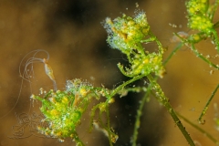 1_DSC00040x