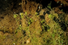 1_DSC00041x