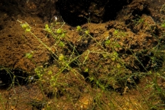 1_DSC00043x