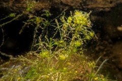 1_DSC00047x