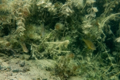 DSC00111x