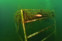 P5240070x