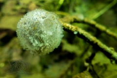 DSC00180x