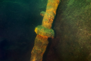 210606 Gewässererkundung