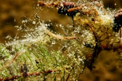 DSC00254x
