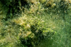 DSC00288x