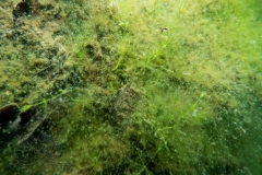 DSC00289x