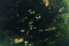 DSC00327x