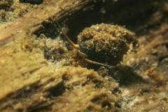 DSC00398x