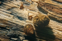 DSC00417x
