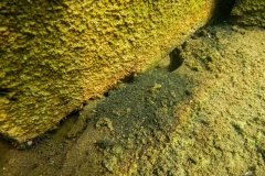 DSC00684x