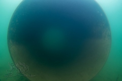 DSC00958x