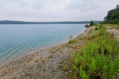 IMG_20210717_083041x