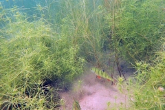 P7300024x