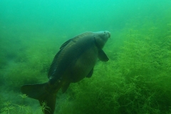 P7300054x