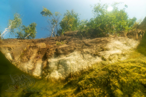 210813 Gewässererkundung