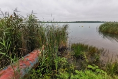 IMG_20210904_105309x
