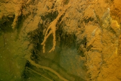 DSC02260x
