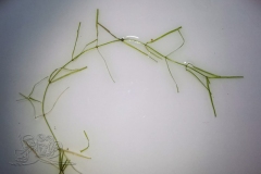 IMG_20210906_173519x